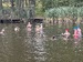 IMG_5744.jpg
